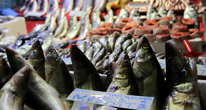 Balık fiyatları el yakıyor |Fiyatı dört kat arttı