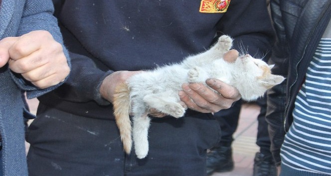 Otomobilin motor kısmında sıkışan yavru kediyi itfaiye kurtardı