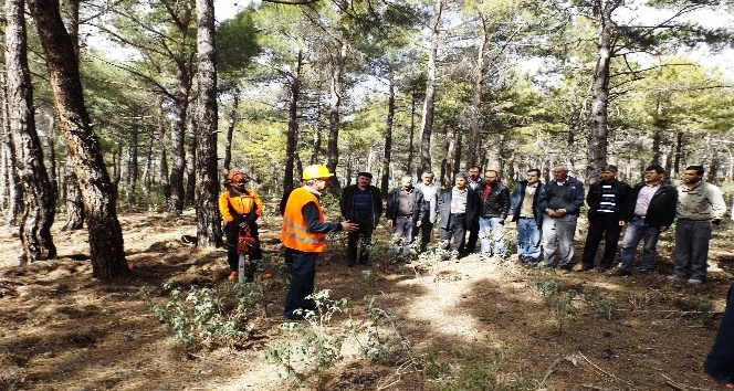 Antalya’da Ağaç Kesme ve Boylama Operatörlüğü kursu