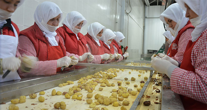 Kestane fiyatları uçuşa geçti!