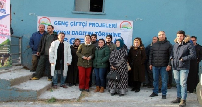 Genç çiftçilere düve