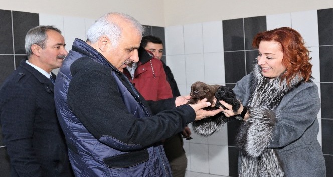 Vali Zorluoğlu, hayvan bakım evini ziyaret etti