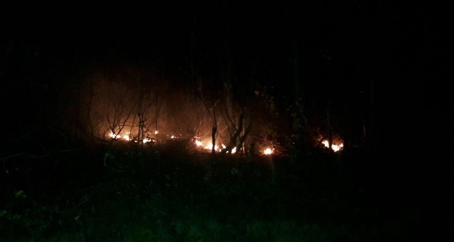 Hendek’te kısa süren orman yangınları söndürüldü