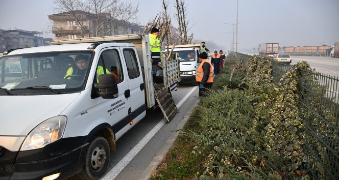 Bursa-Ankara yolu ağaçlandırıldı
