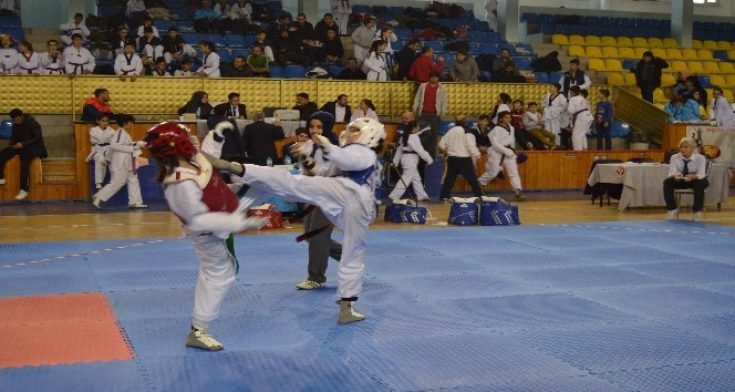 Kırıkkale 4. Ulusal Tekvando Festivali