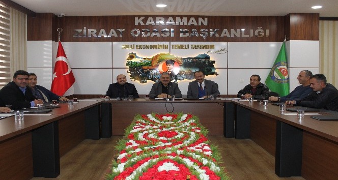 Karaman’daki zeytin üreticileri için kooperatifleşme çalışmaları