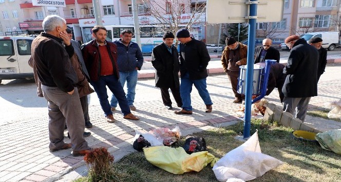 Yozgat’ta yılbaşı hindileri satışa çıktı