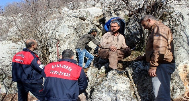6 gündür kayalıklara sıkışan avcı köpeği kurtarılmayı bekliyor