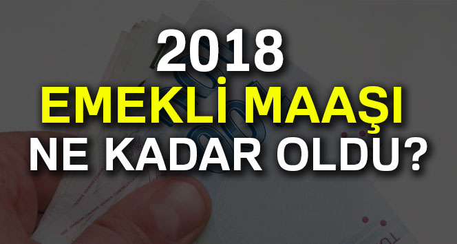 2018 temmuz emekli maaş zammı ne kadar ? 2018 emekli maaşı hesaplama