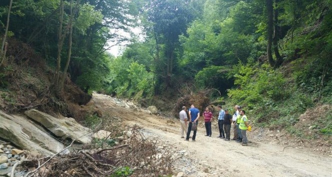 Kartepe Belediyesi ile DSİ ortak çalışacak