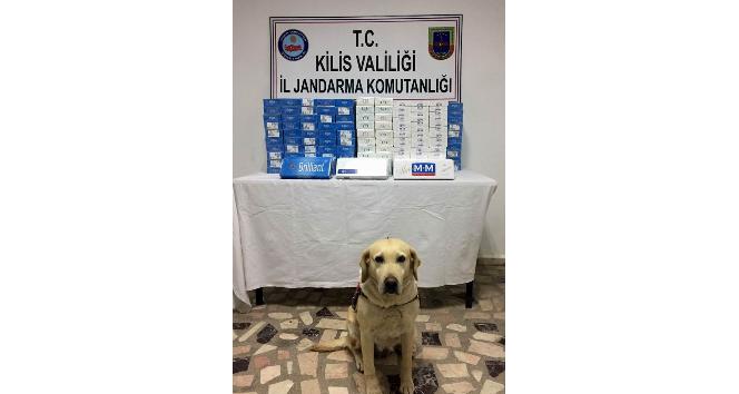 Kilis’te 2 bin 500 paket kaçak sigara yakalandı