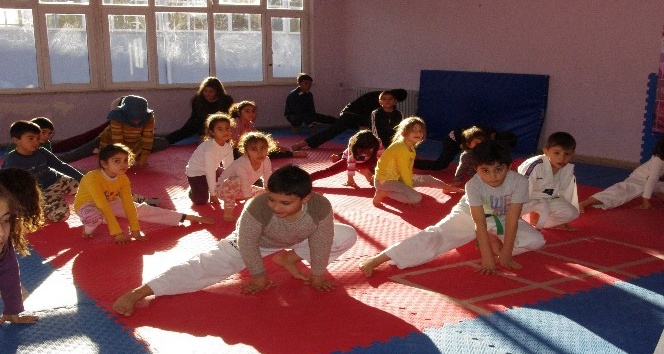 Kaman Gençlik Merkezi taekwondo kursunda 34 genç eğitim görüyor