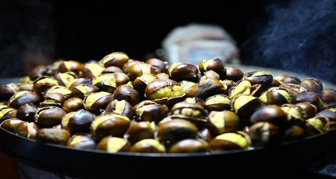 Bir kış klasiği “Kestane”