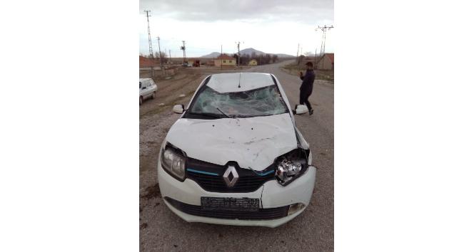 Otomobil üzerinde binicisi olan ata çarptı: 1 yaralı