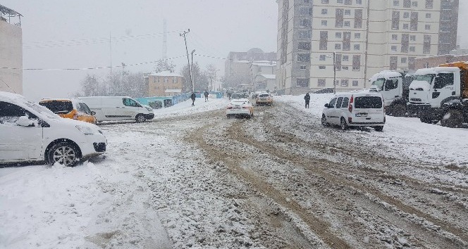 Şırnak’ta okullara kar tatili