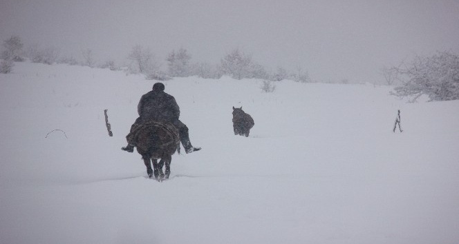 Bingöl’de 281 köye kar nedeniyle ulaşım sağlanamıyor