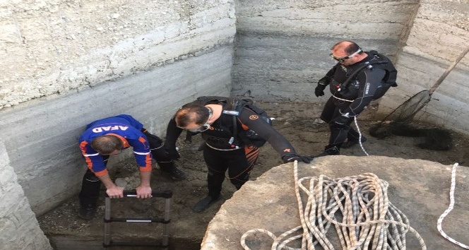 Burdur’da su kanalında mahsur kalan45 karabatak kurtarıldı