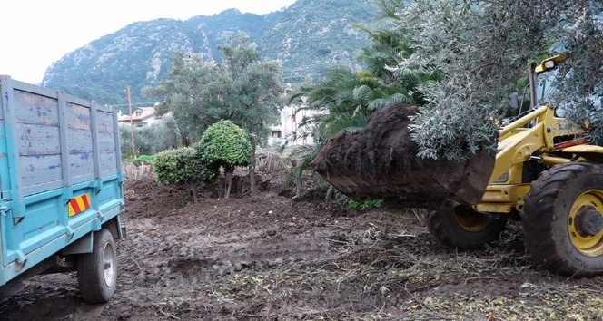Marmaris Belediyesi bahçe atıklarından gübre üretti