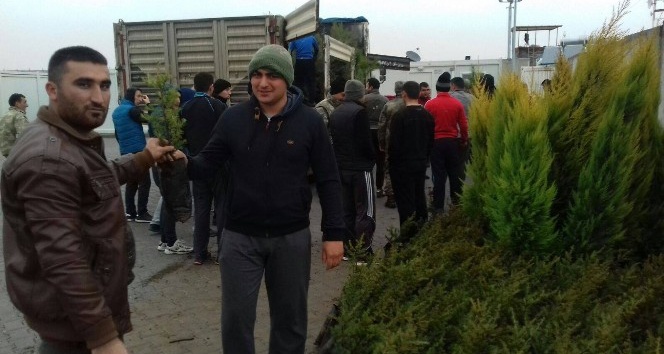 Suriye’de ağaçlandırma çalışmaları