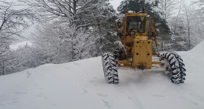 Sivas’ta karla mücadele çalışmaları