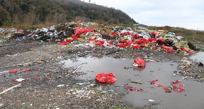 Zonguldak’ta çevreyi kirleten firmalara 48 milyon 391 bin lira ceza