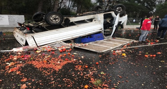 Köyceğiz’de domates yüklü kamyonet takla attı