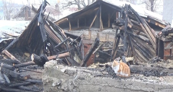 Evi yanan vatandaş kedileri dışarıda kaldığı için gözyaşı döktü