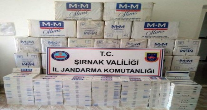Şırnak’ta 15 günde 61 bin 999 paket kaçak sigara ele geçirildi
