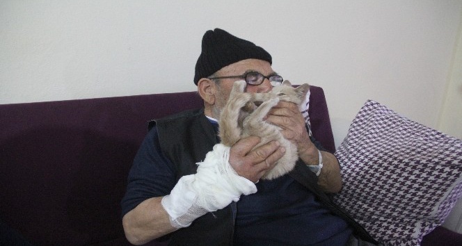Taburcu olan Ali Meşe, kedisinden bir an olsun ayrılmıyor