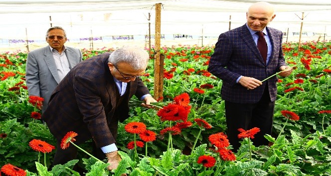 Antalya’da çiçek mezatı