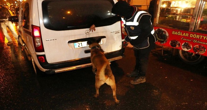 Diyarbakır’da 600 polis ve dedektör köpeklerle asayiş uygulaması