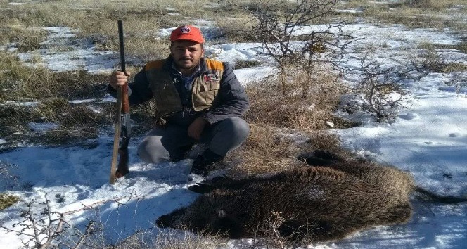 Karaman’da yaban domuzlarına sürek avı