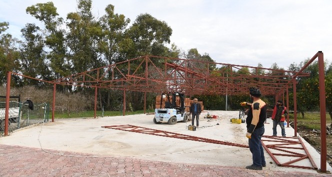 Konyaaltı Belediyesi ‘kedi barınağı’ inşasına başladı