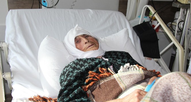 Demokrasi Nöbetine eşeği ile katılan Emine Nine hastanede tedavi altında