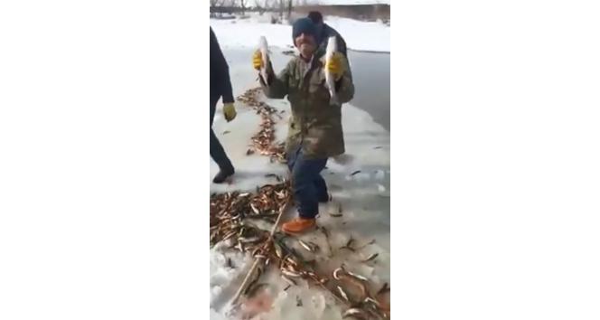 Ağrı’da buz tutan derede balık tutan vatandaşların sevinci