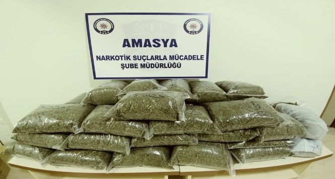 Amasya’da 21,8 kilo bonzai ele geçirildi