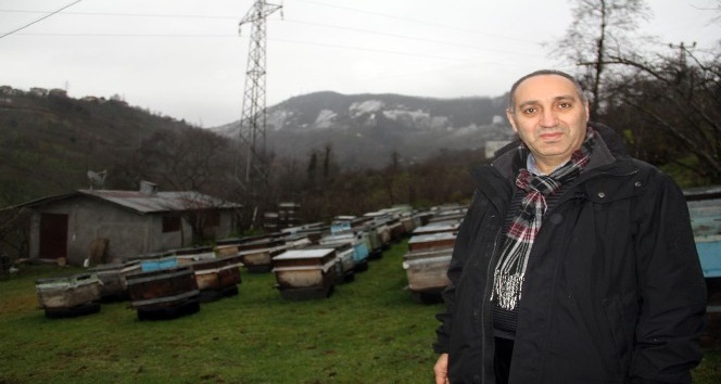 Bilinçsiz ilaçlama arıcıları tedirgin ediyor