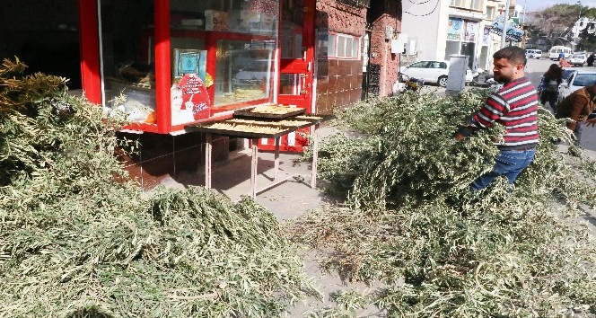 Kilisli fırıncıların ‘Zeytin Dalı’ telaşı