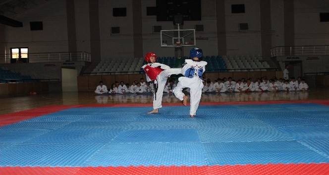 1. Dönem Teakwondo kuşak sınavı’nda 50 öğrenci ter döktü