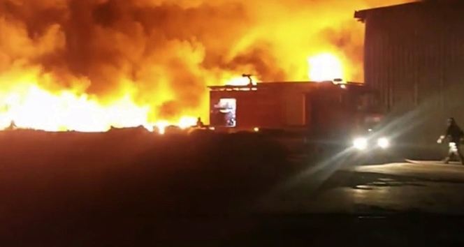 Sakarya’da geri dönüşüm fabrikası alev alev yandı
