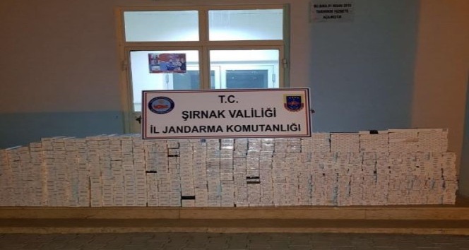 Şırnak’ta 4 bin 250 paket kaçak sigara ele geçirildi