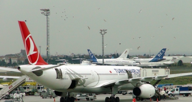 Atatürk Havalimanı’nda yemek yüklenen uçağa martılardan yoğun ilgi