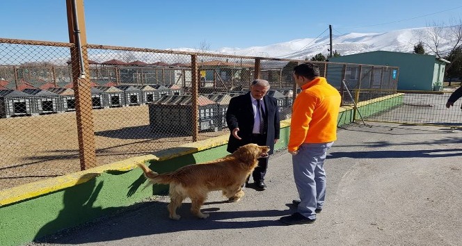 Niğde Belediye Başkanı Özkan Hayvan Barınağını İnceledi