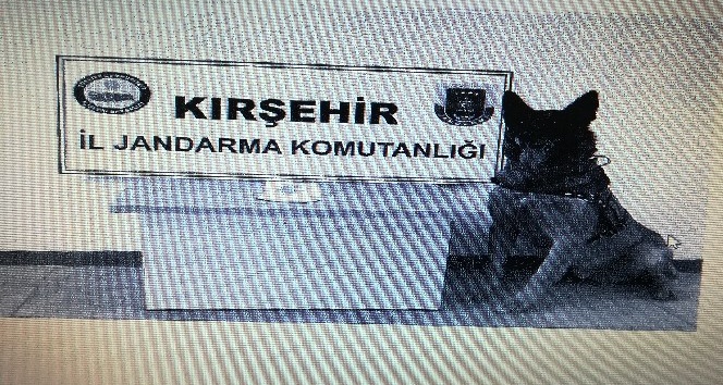 Jandarmanın şüphelendiği otomobilden eroin çıktı
