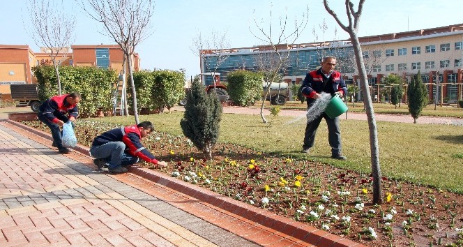 Üniversite kampüsünde bahar hazırlığı