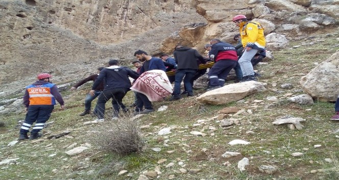 Cizre’de Kasrik kayalıklarına çıkan genç düşerek yaralandı