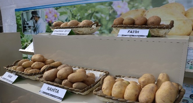 Yerli patates üreticiyle buluşacak