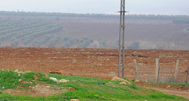 Suriye’den atılan 3 roket Kilis kırsalındaki boş arazilere düştü