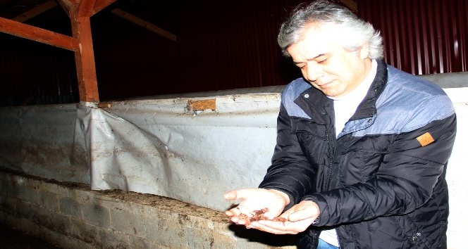Prof. Dr. Mustafa Türkmen: “Hem verimi artırıyor hem de hastalıklara karşı koruyor”