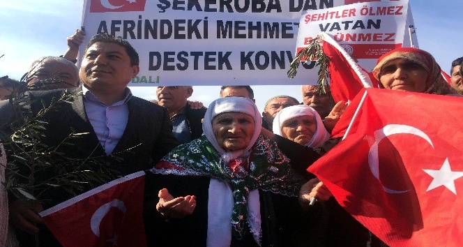 105 yaşındaki nineden Mehmetçiğe 11 küçükbaş hayvan
